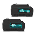 40V Lithium-Ion Battery Pack 2-Pack H9640