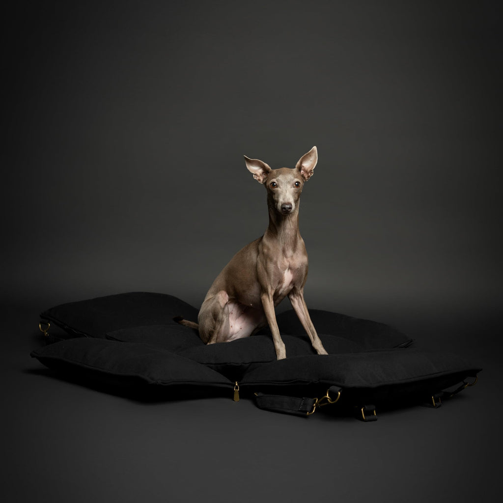 Canvas Dog Car Seat Booster R6489