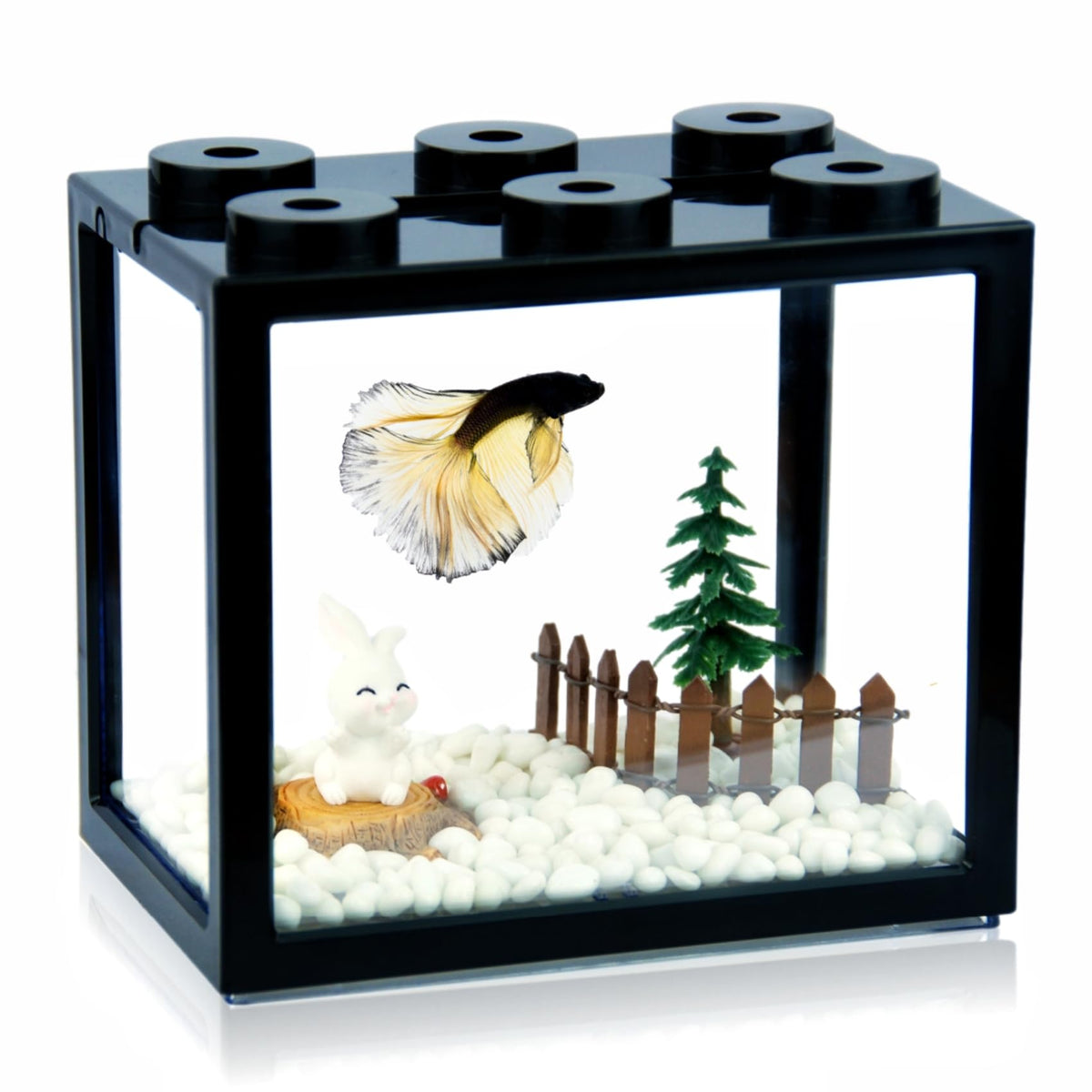 0.6 Gallon Acrylic Stackable Mini Aquarium Tank with Gravel W68354