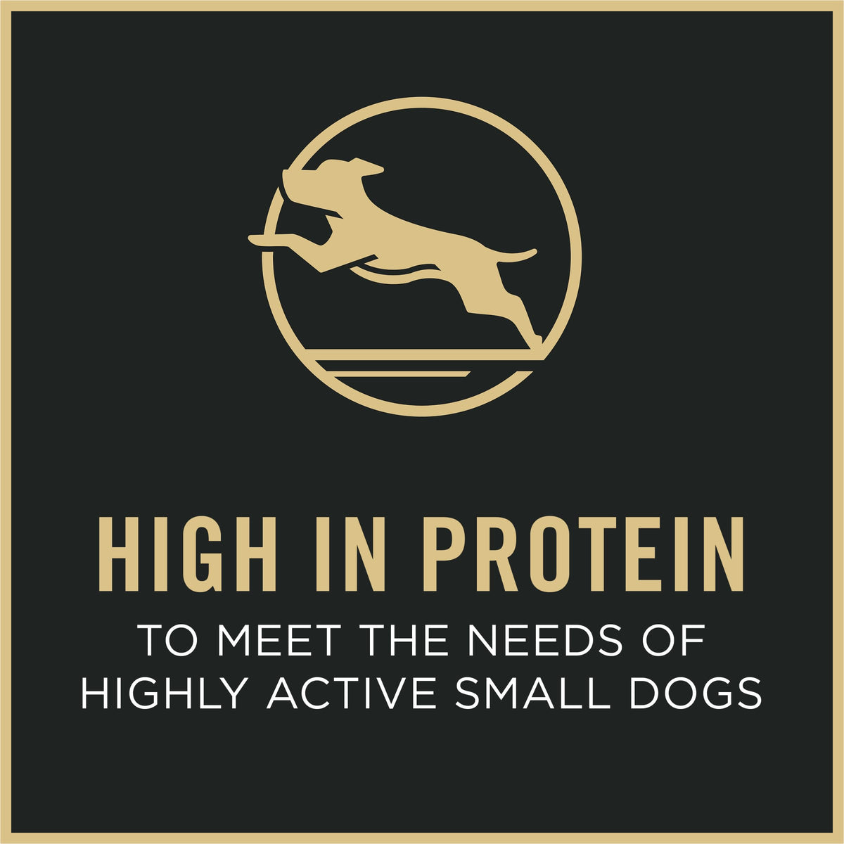 Small Breed Dry Dog Food Shredded Blend Beef 6 lb Bag A144400