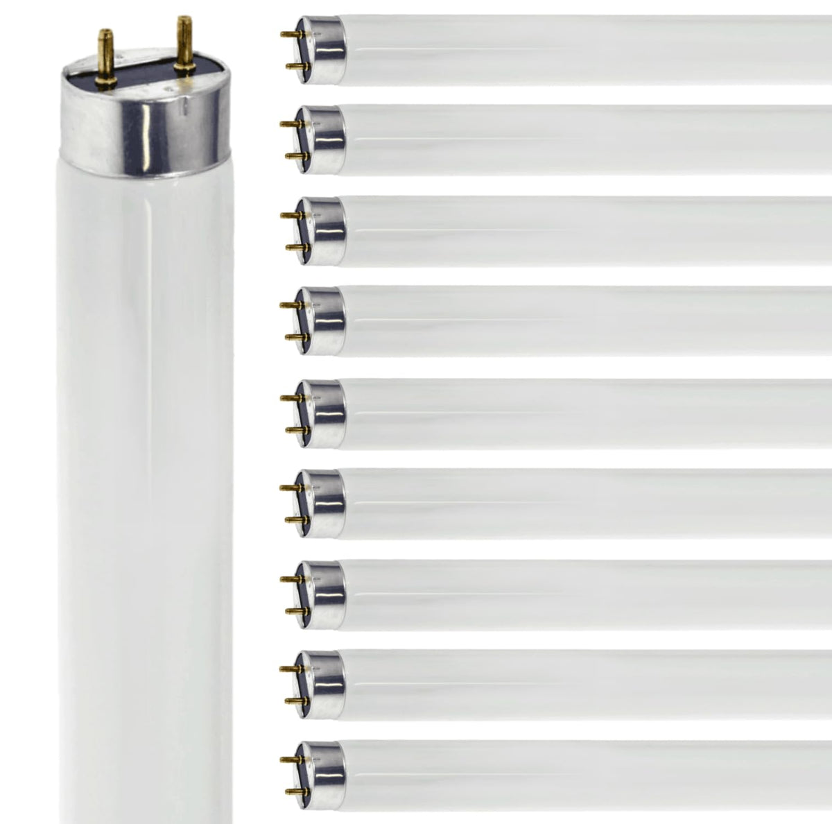 24 Inch T8 Fluorescent Tube Light Bulb 17W 5000K 1230 Lumen G13 Bi-Pin Base Pack of 10 V998198