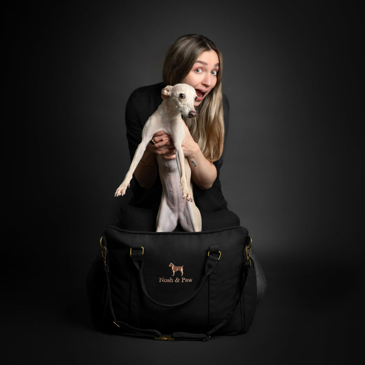 Canvas Dog Car Seat Booster R6489