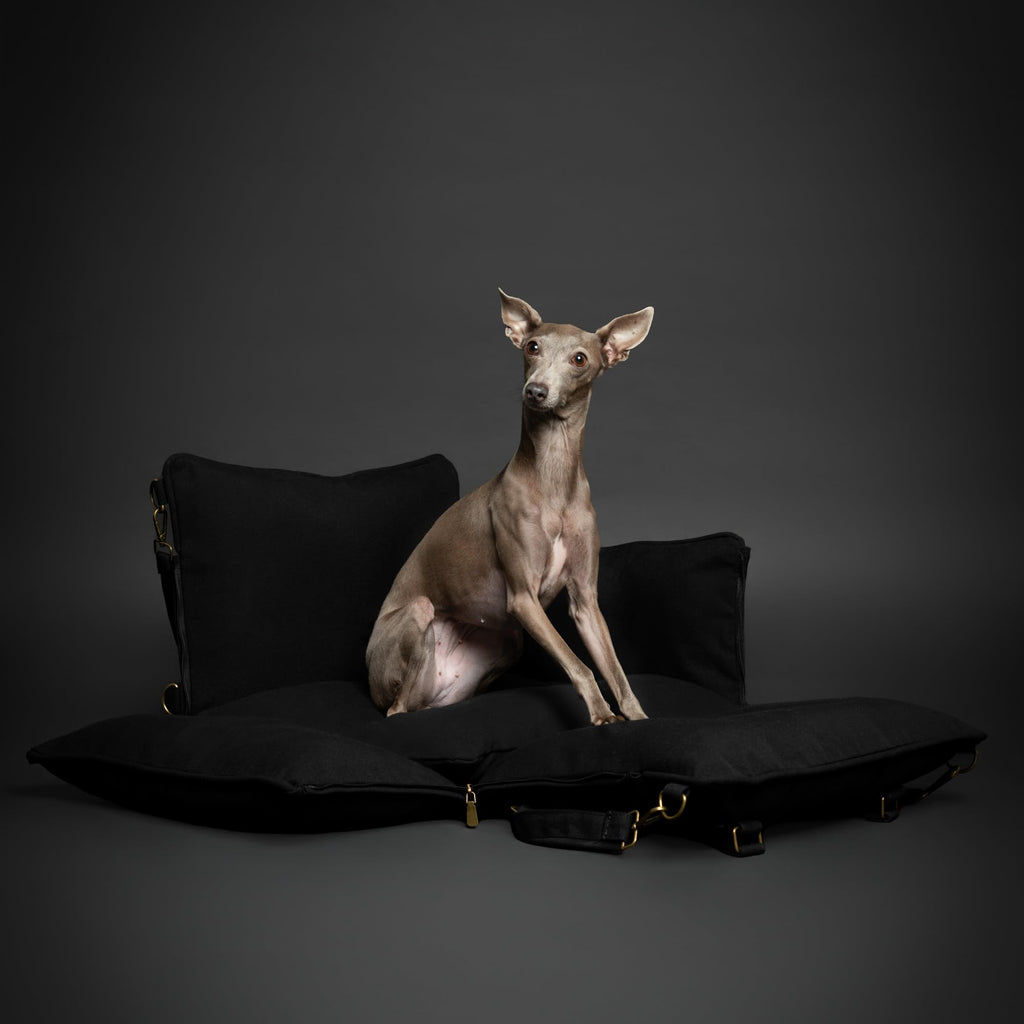 Canvas Dog Car Seat Booster R6489