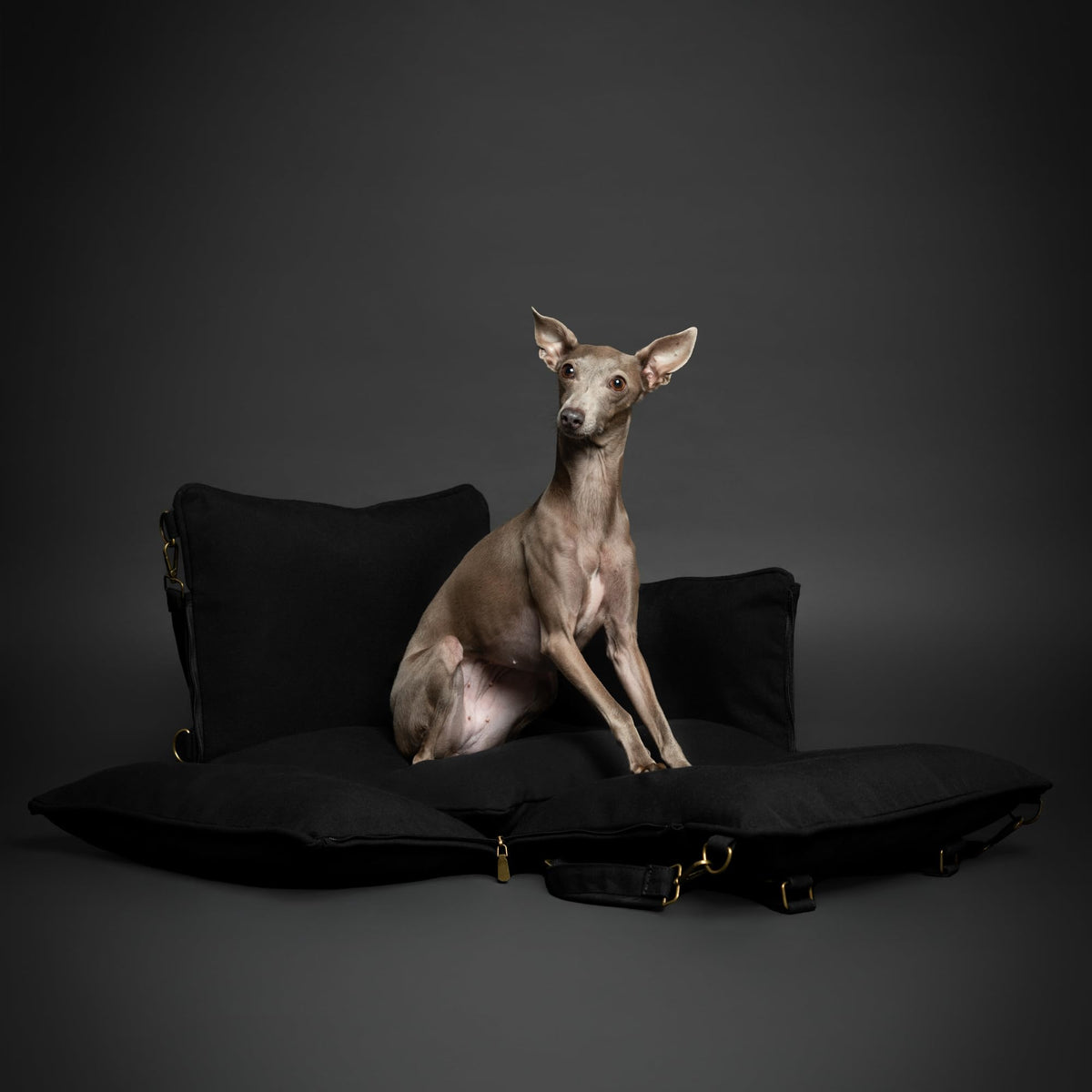 Canvas Dog Car Seat Booster R6489