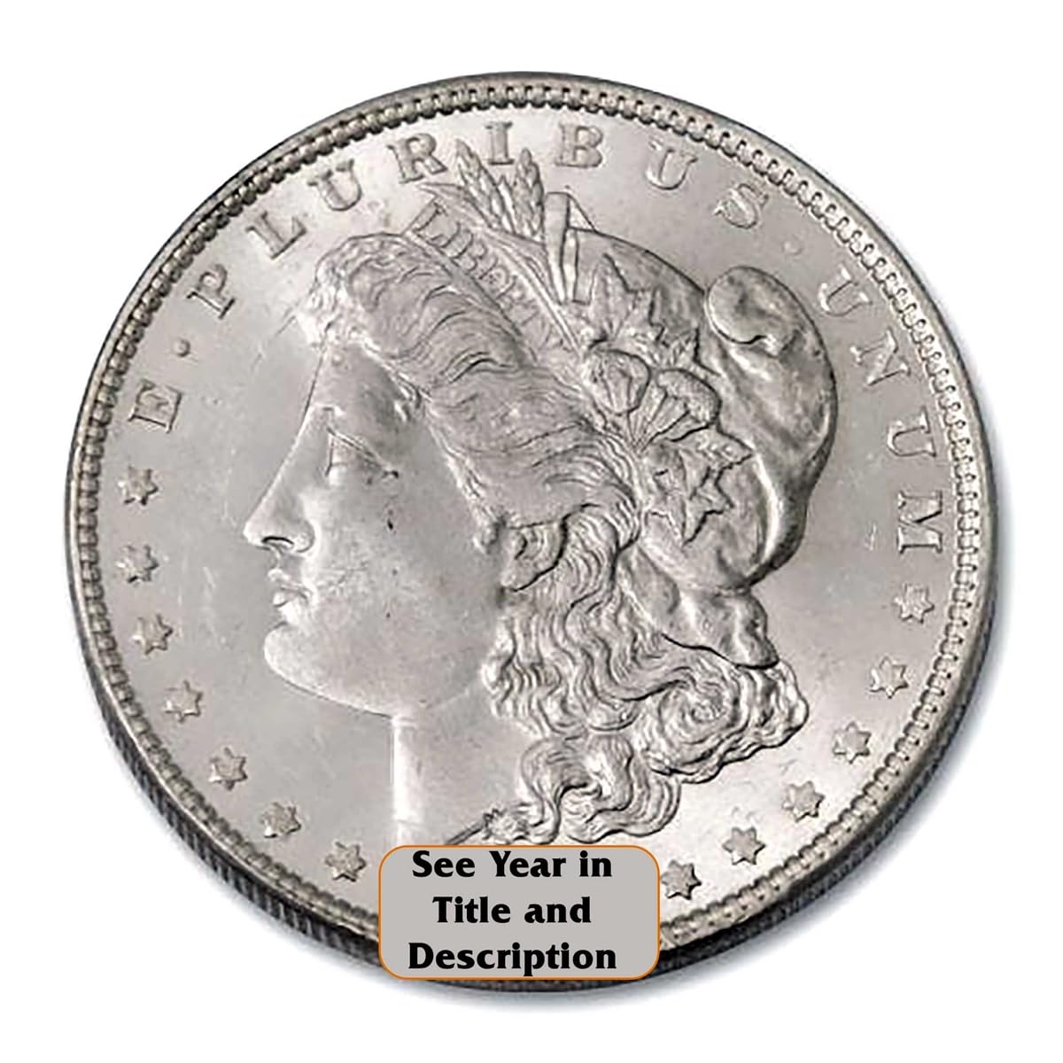 Morgan Silver Dollar W5175