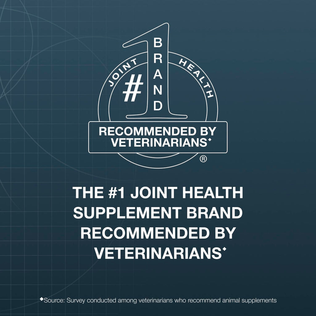 Chewable Tablets Joint Health Supplement for Small to Medium Dogs, 150 Count D277010
