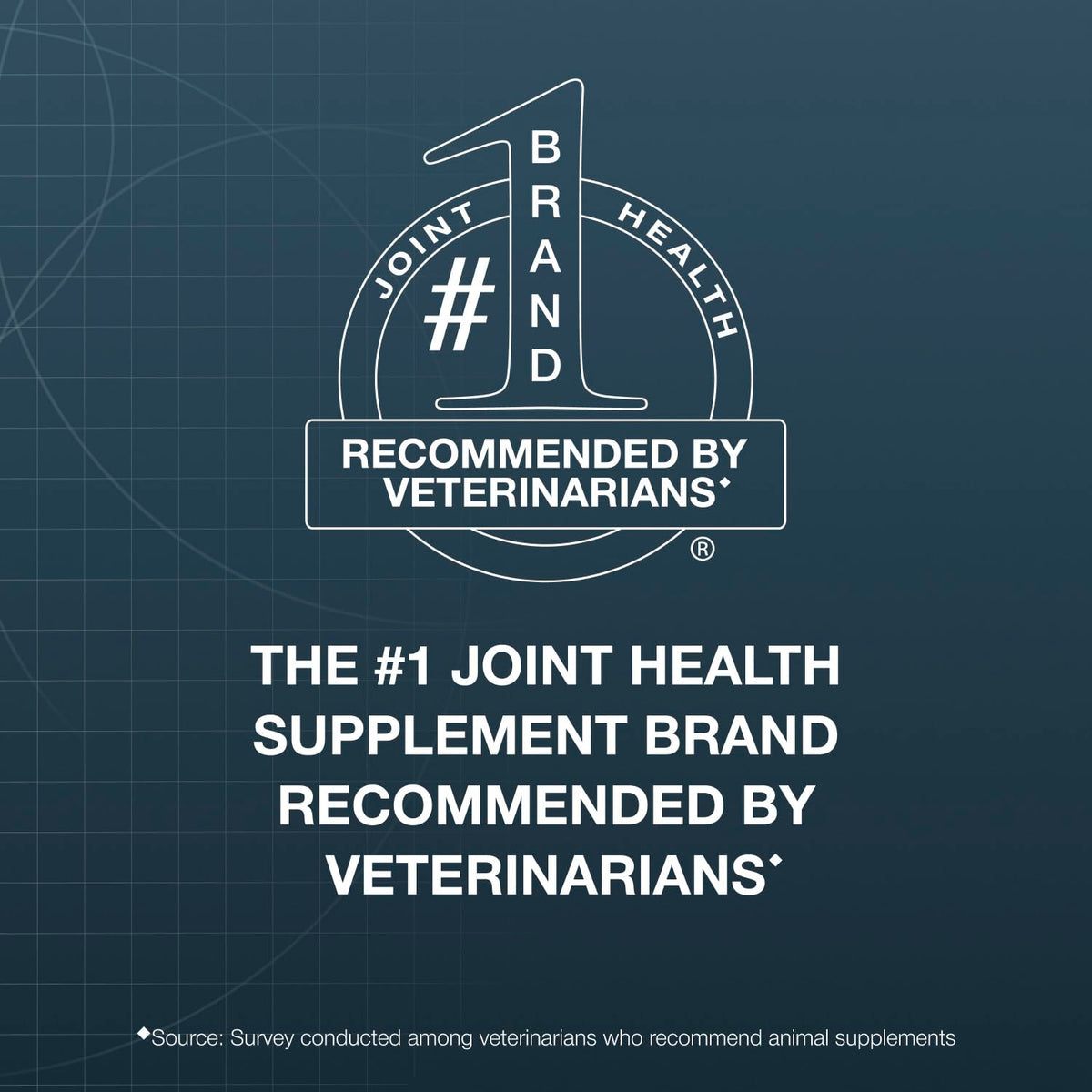 Chewable Tablets Joint Health Supplement for Small to Medium Dogs, 150 Count D277010