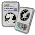 1 oz American Silver Eagle Coin H471376