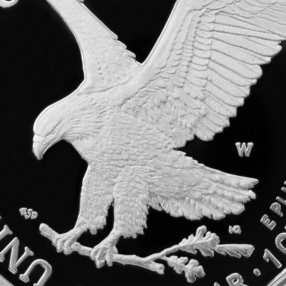 1 oz American Silver Eagle Coin H471376
