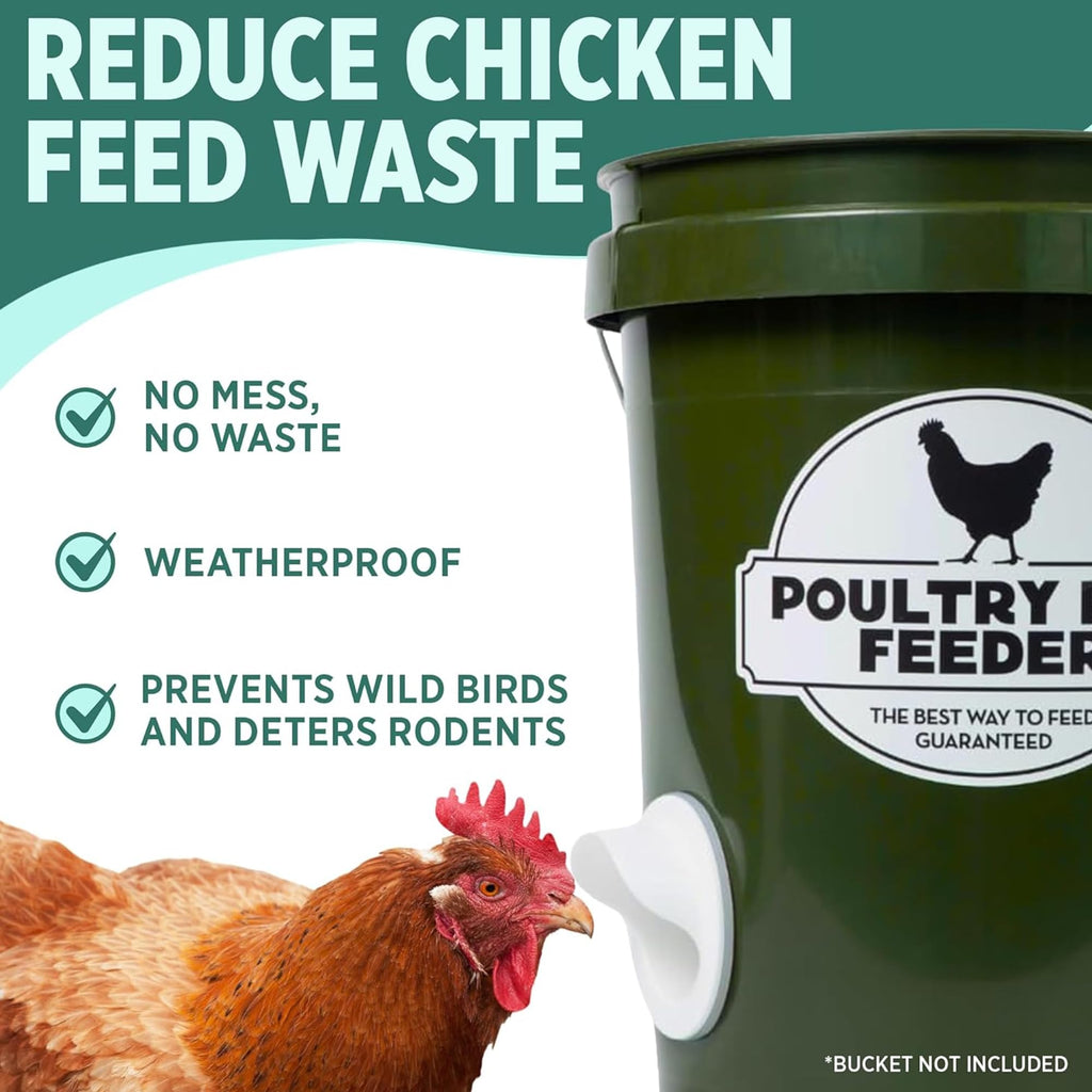 Chicken Feeder and Waterer Set with 3 Ports A754