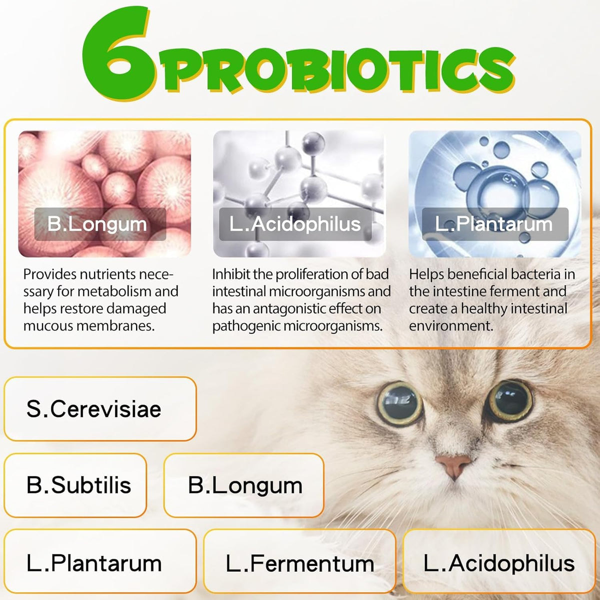 2 oz Probiotic Cat Laxative Stool Softener M126591