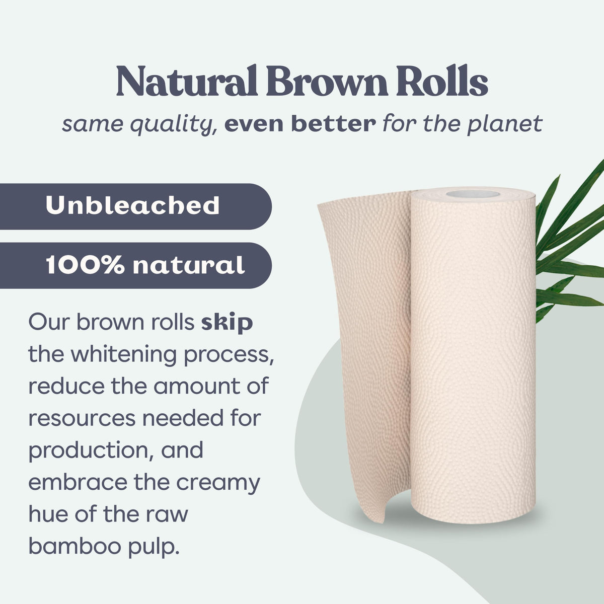 Bamboo Paper Towels 8 Rolls 2 Ply J408