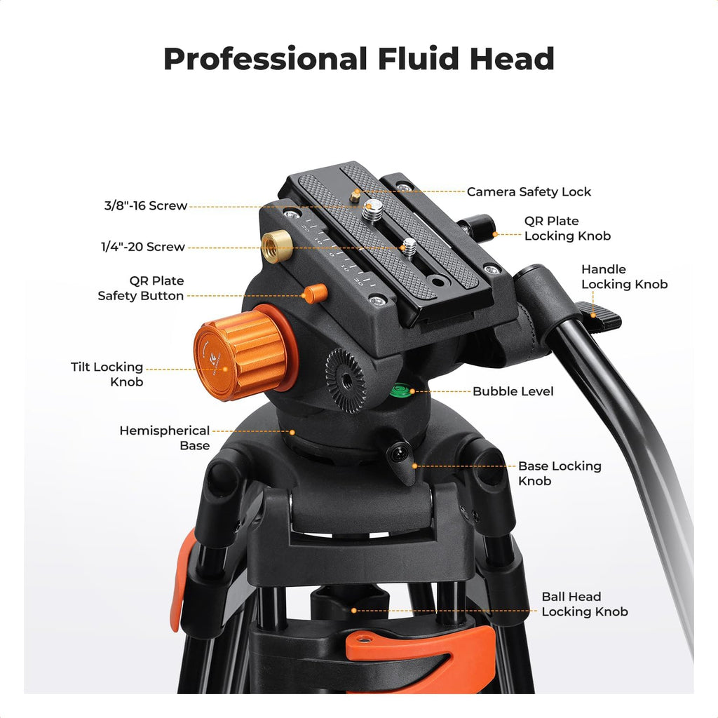 80" Video Tripod with Fluid Head E766320
