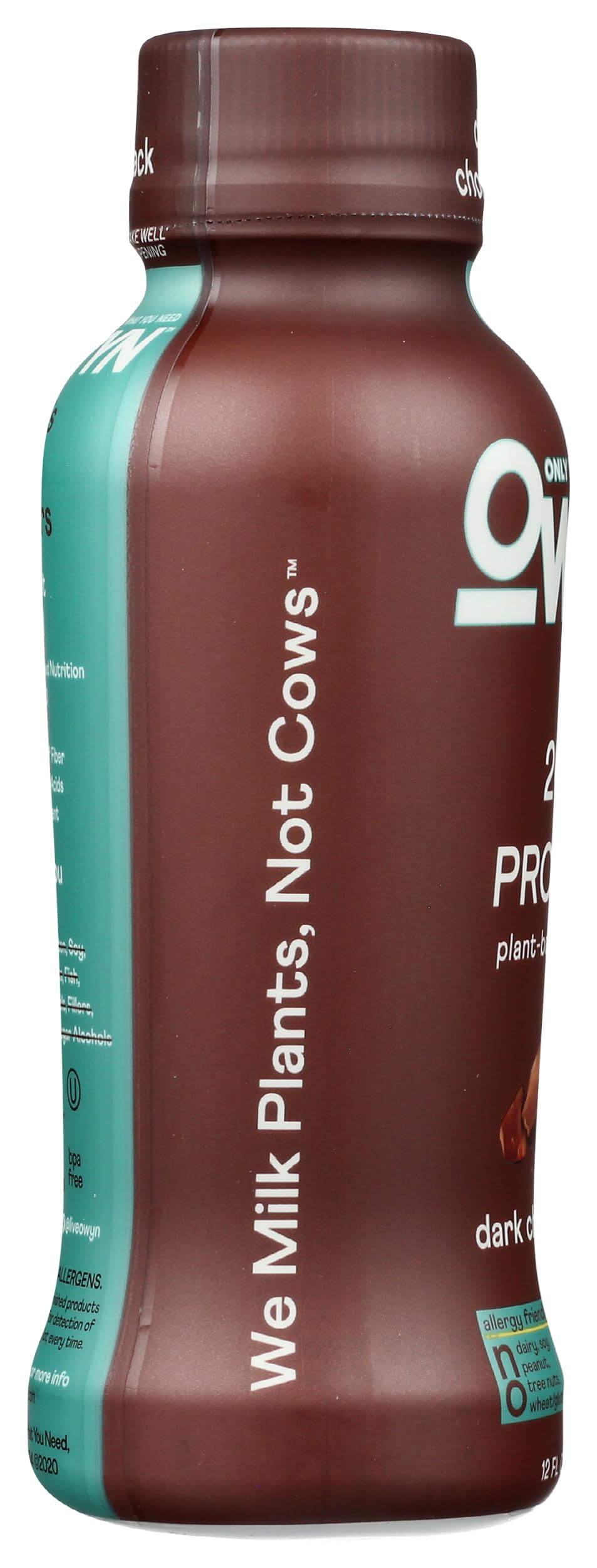 Dark Chocolate Plant Based Protein Shake C99507