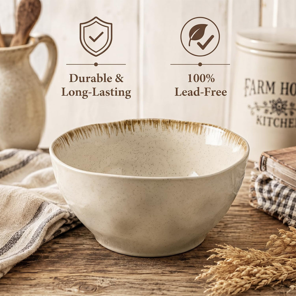 30 OZ Ceramic Soup Bowls Set of 4 Beige U6742