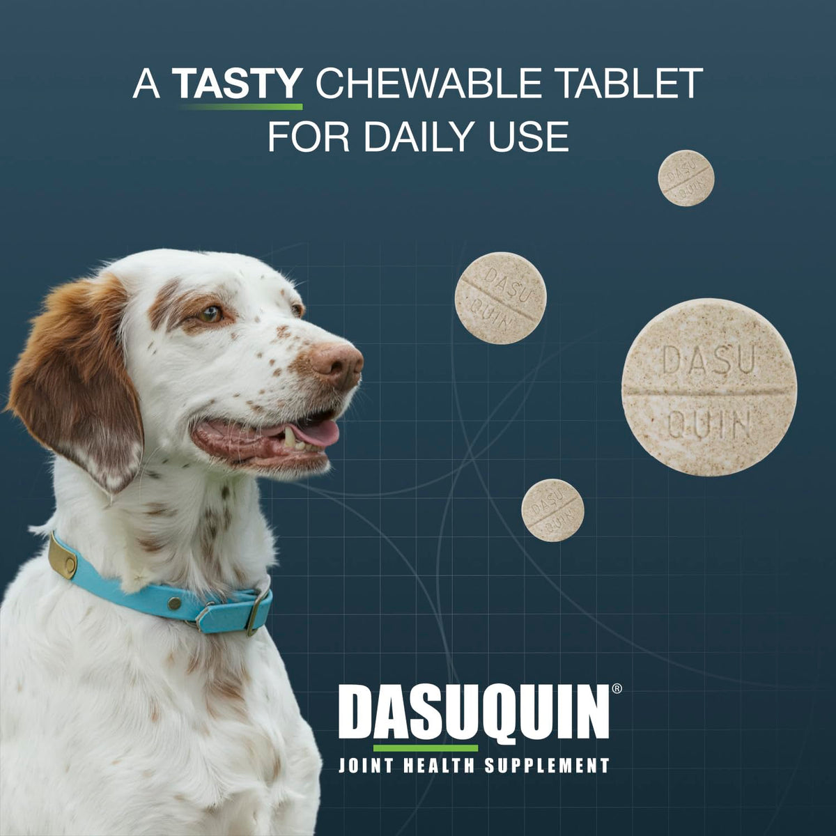 Chewable Tablets Joint Health Supplement for Small to Medium Dogs, 150 Count D277010