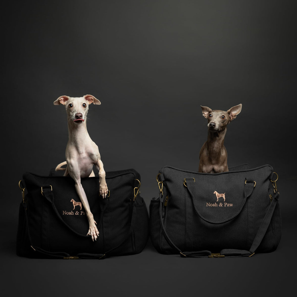 Canvas Dog Car Seat Booster R6489