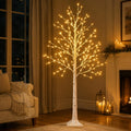 5FT Birch Tree with Lights L80606
