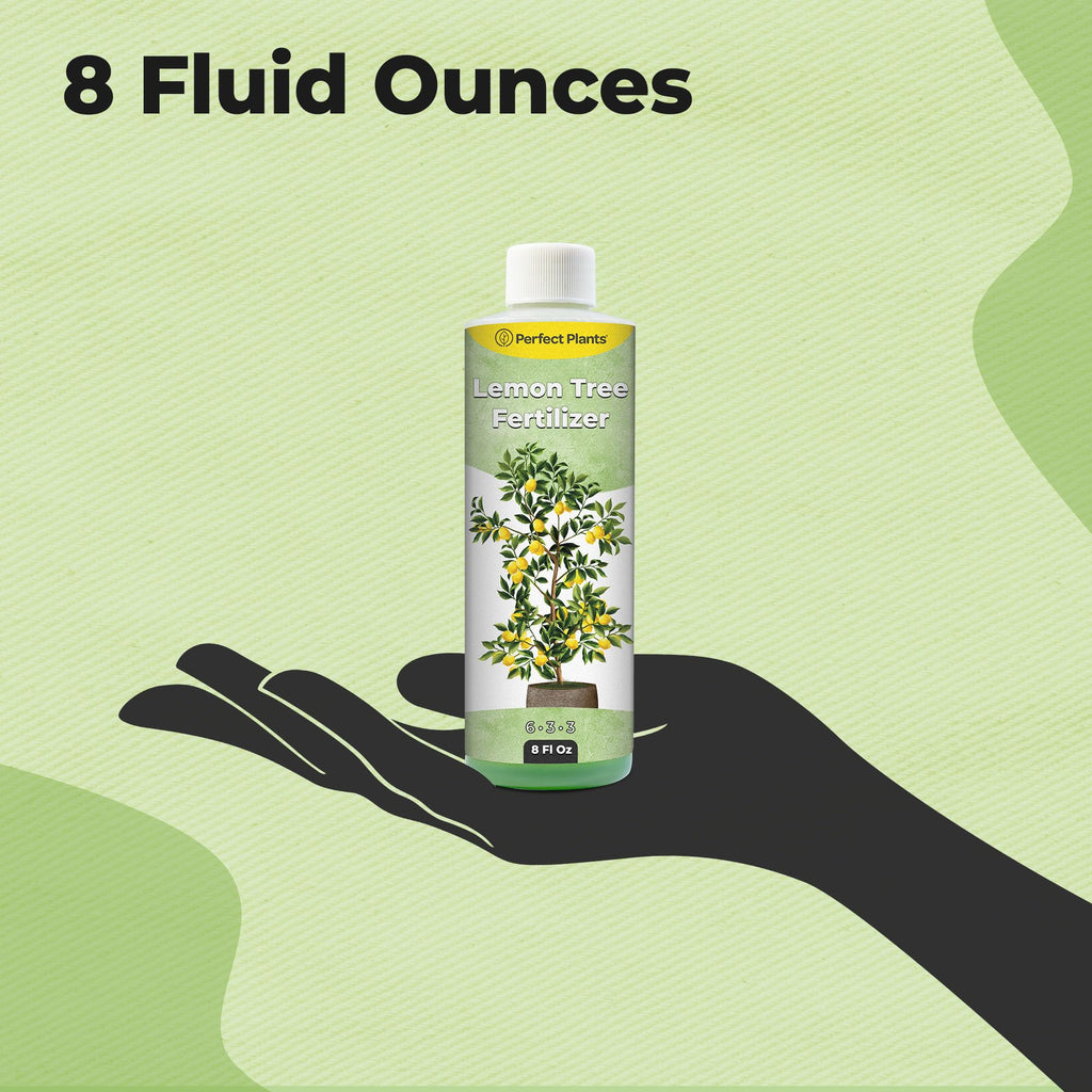 8 oz Citrus Plant Fertilizer J452453
