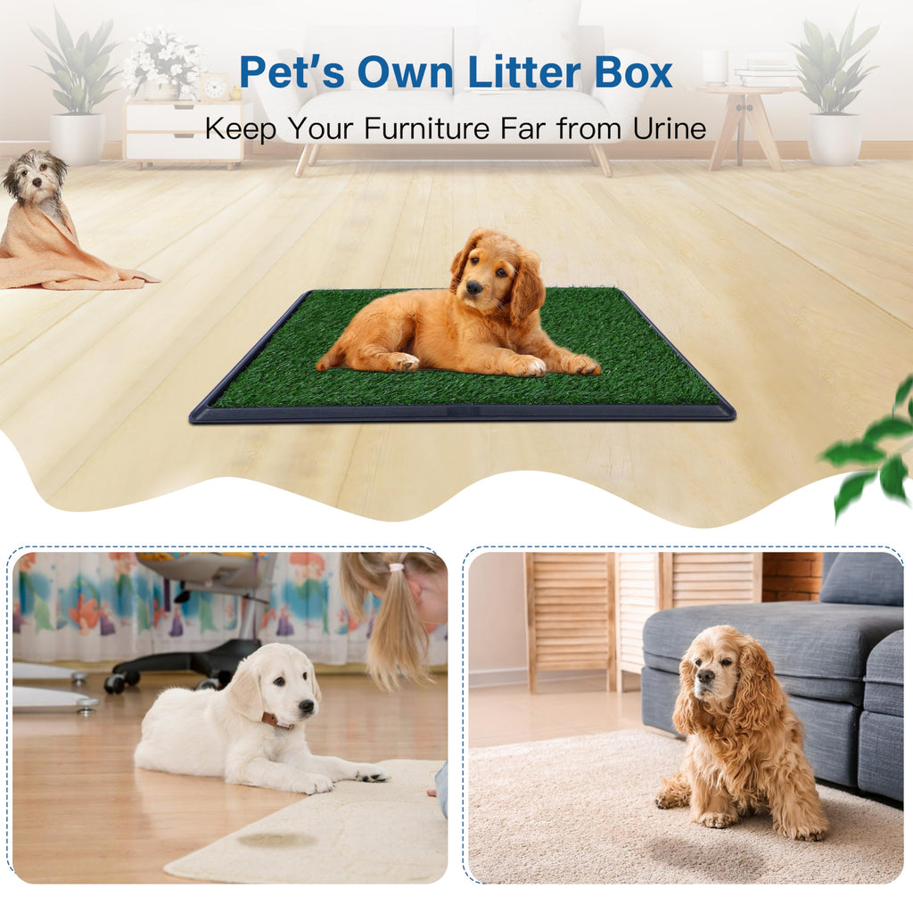 Artificial Grass Dog Potty Pad with Tray 20x30 inch Y610