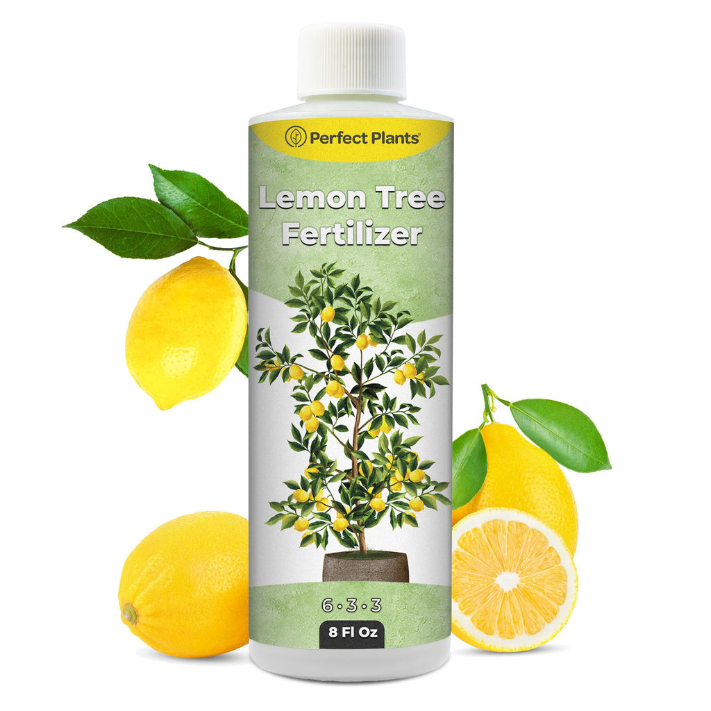8 oz Citrus Plant Fertilizer J452453