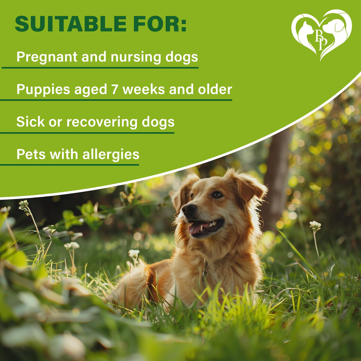Natural Flea & Tick Collar for Dogs Z920292