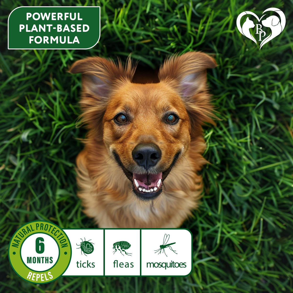 Natural Flea & Tick Collar for Dogs Z920292