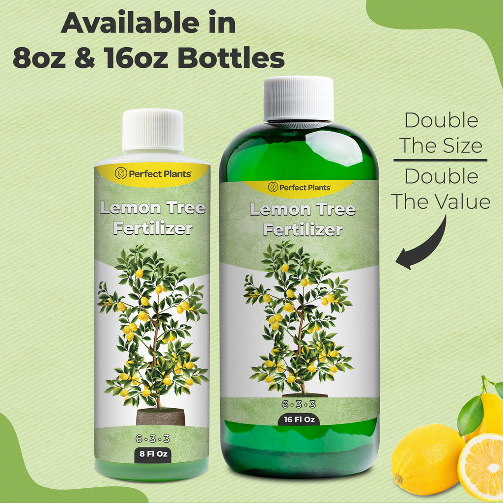 8 oz Citrus Plant Fertilizer J452453