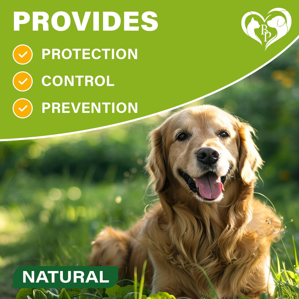 Natural Flea & Tick Collar for Dogs Z920292
