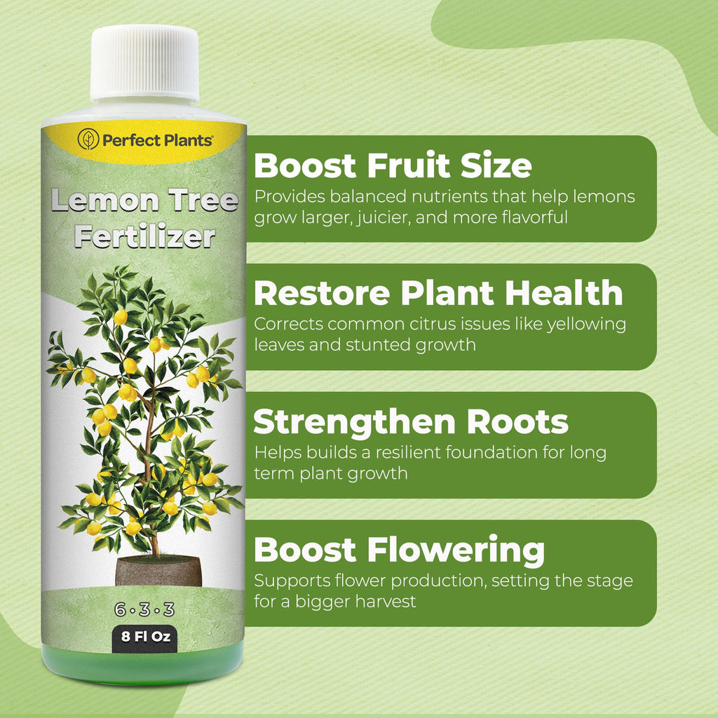 8 oz Citrus Plant Fertilizer J452453
