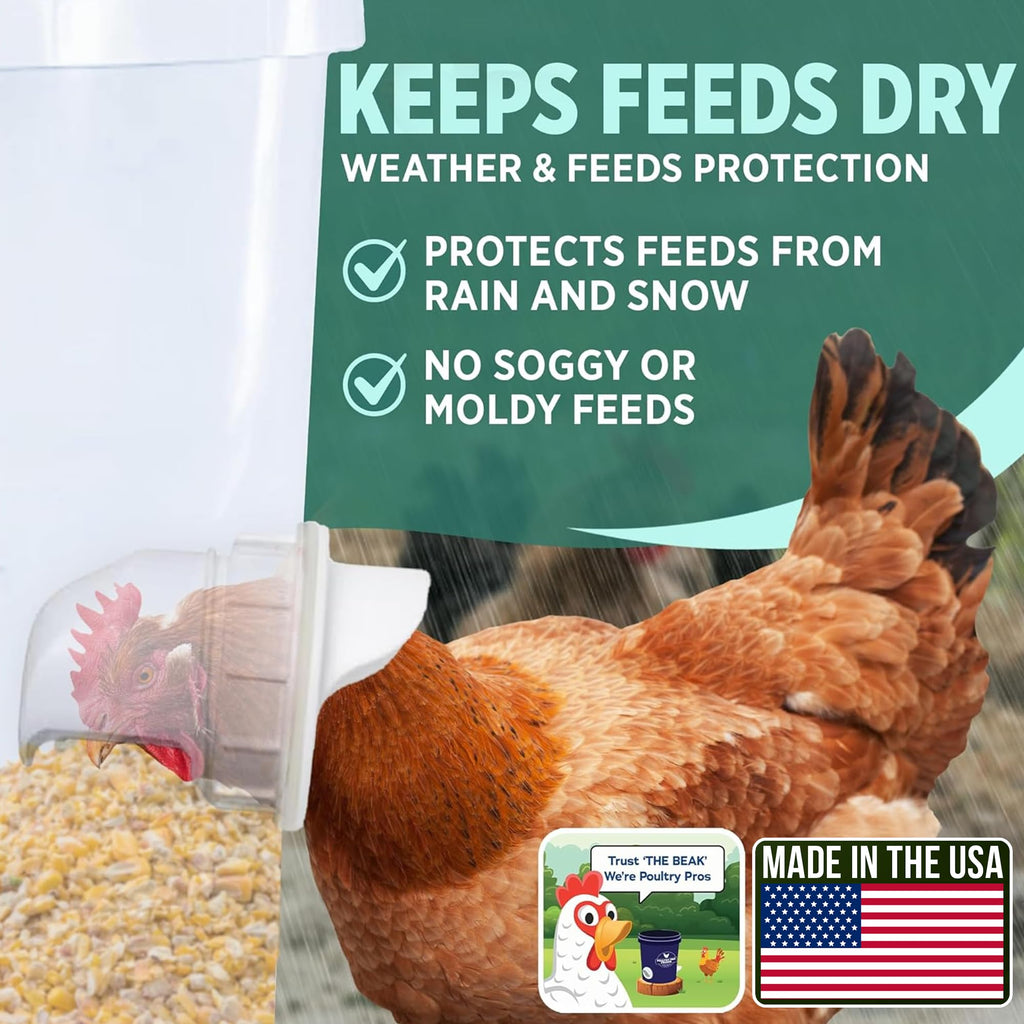 Chicken Feeder and Waterer Set with 3 Ports A754