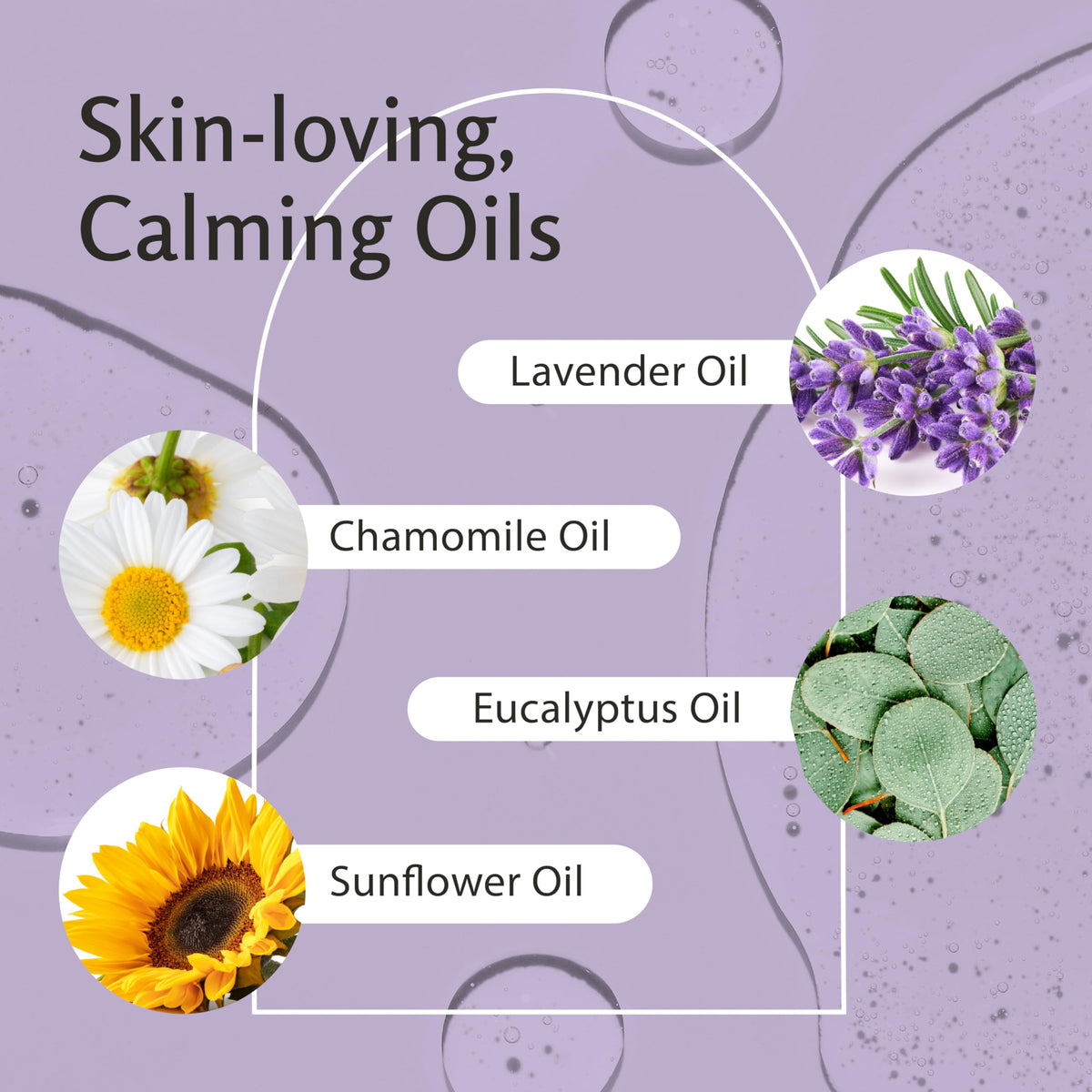 Lavender Collagen Massage Oil 16 Fl Oz X3312