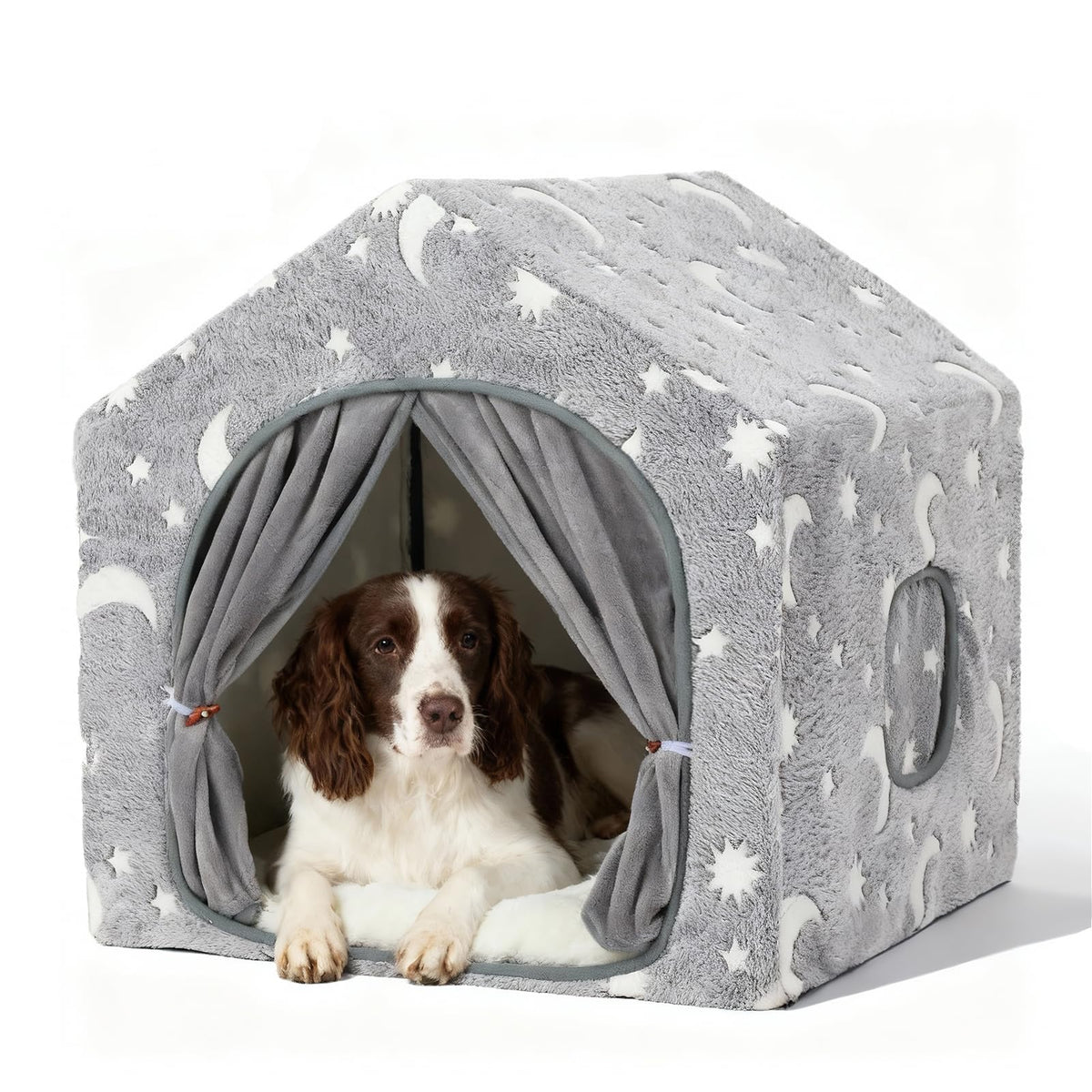Indoor Dog House C9844