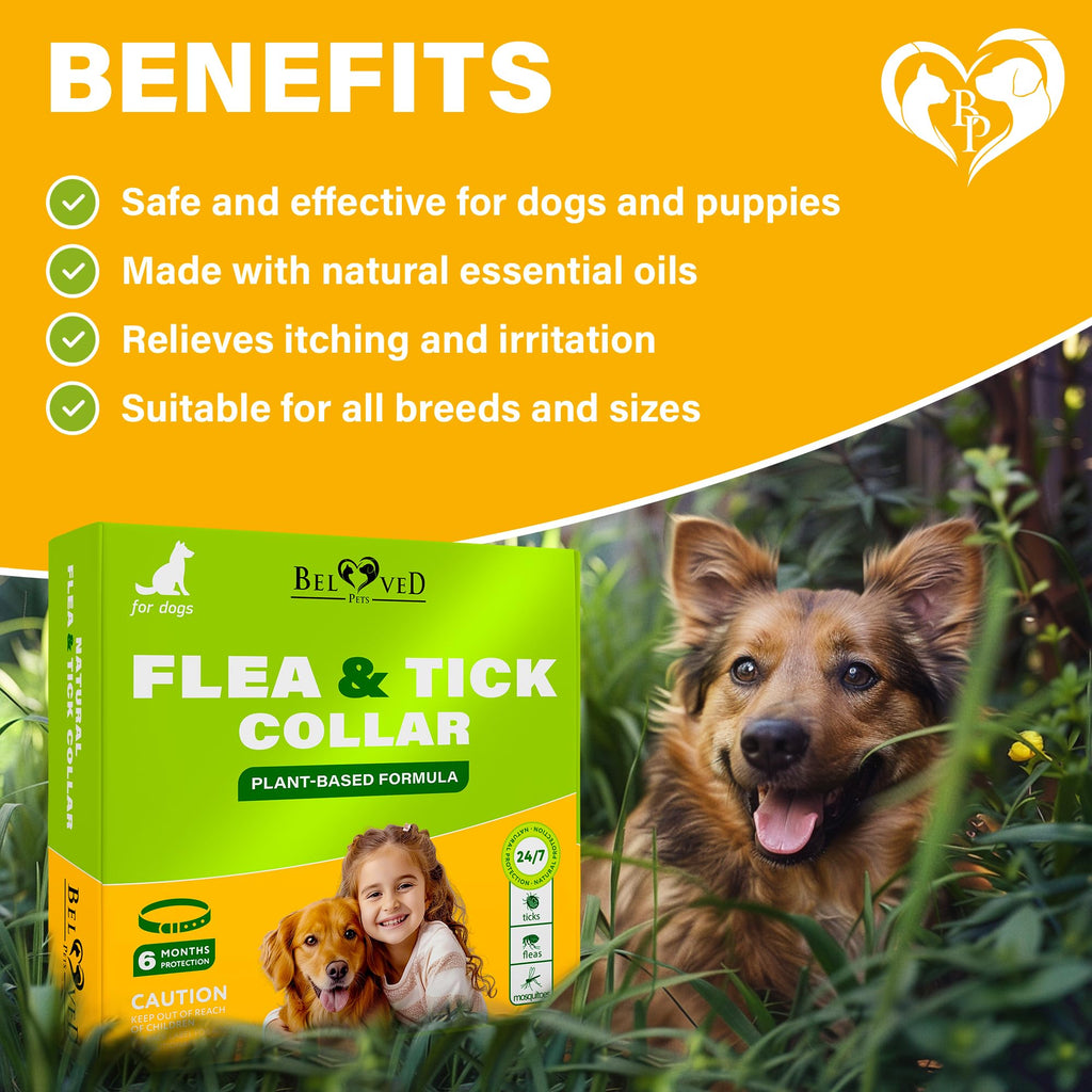Natural Flea & Tick Collar for Dogs Z920292